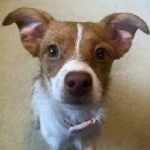 Sadie